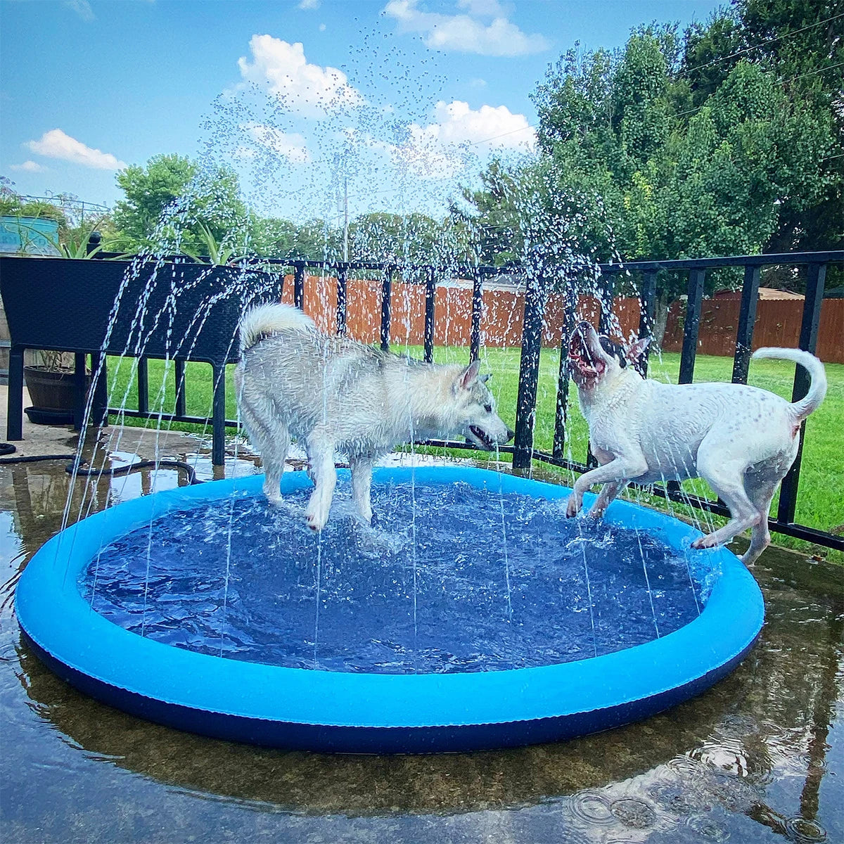 Premium Dog Splash Pad – Cooling Sprinkler Water Play Mat for Large & Small Dogs | Non-Slip Summer Splash Pool